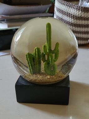 Green Cactus Glass Dome Home Art Decor